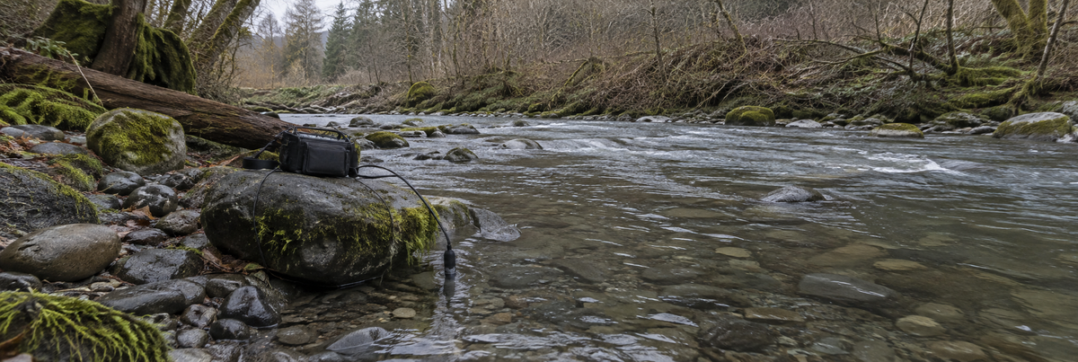 Illustrative water recording setup beside a shallow stream