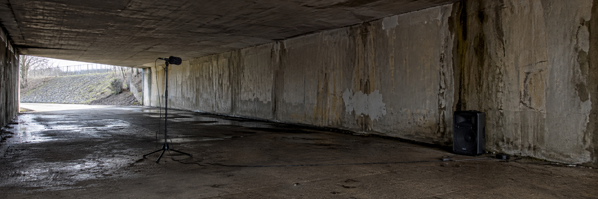 Illustrative speaker and microphone setup for recording reverberation in an underpass